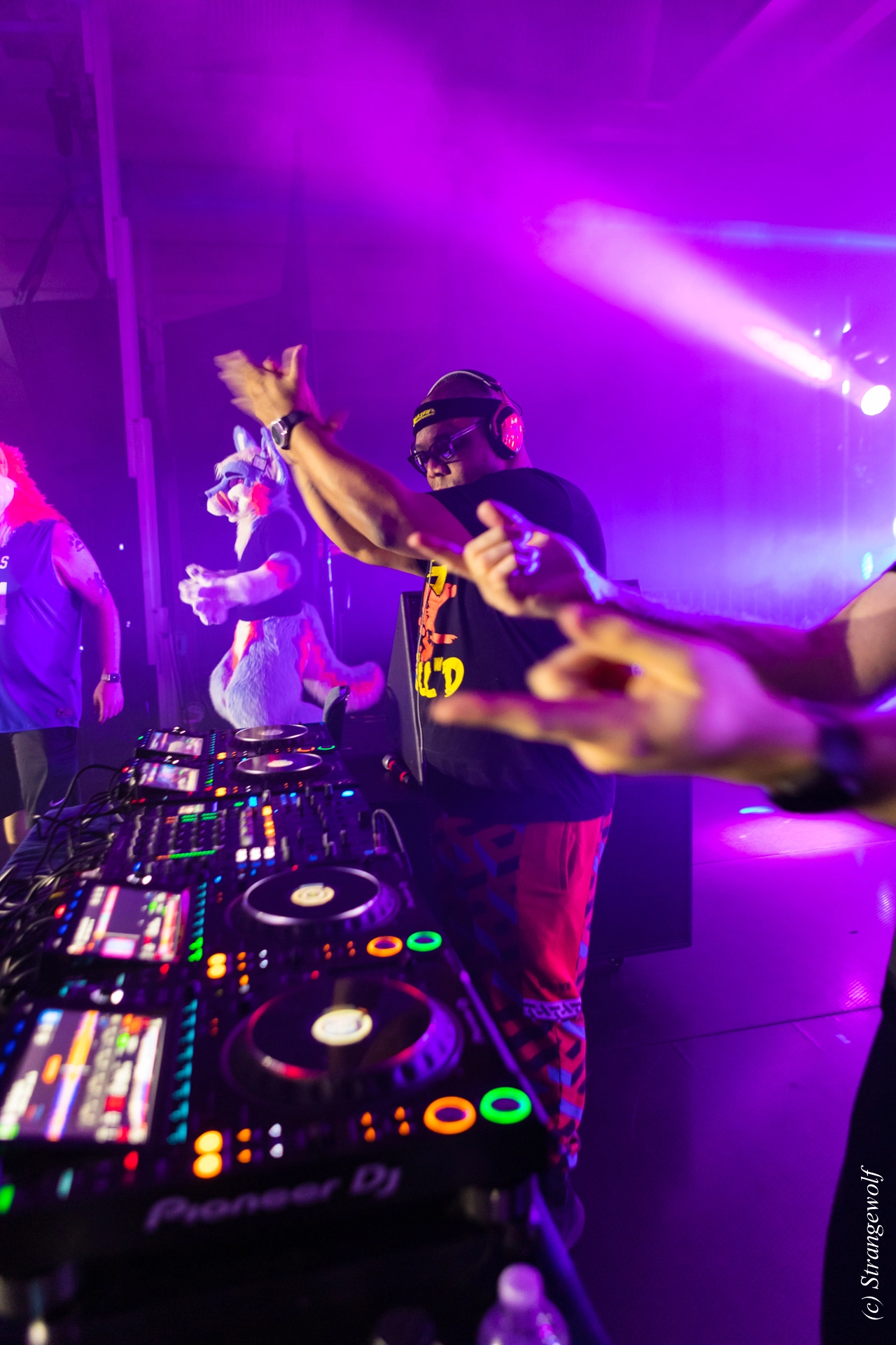 full image 1R3A5374-lr19t.jpg