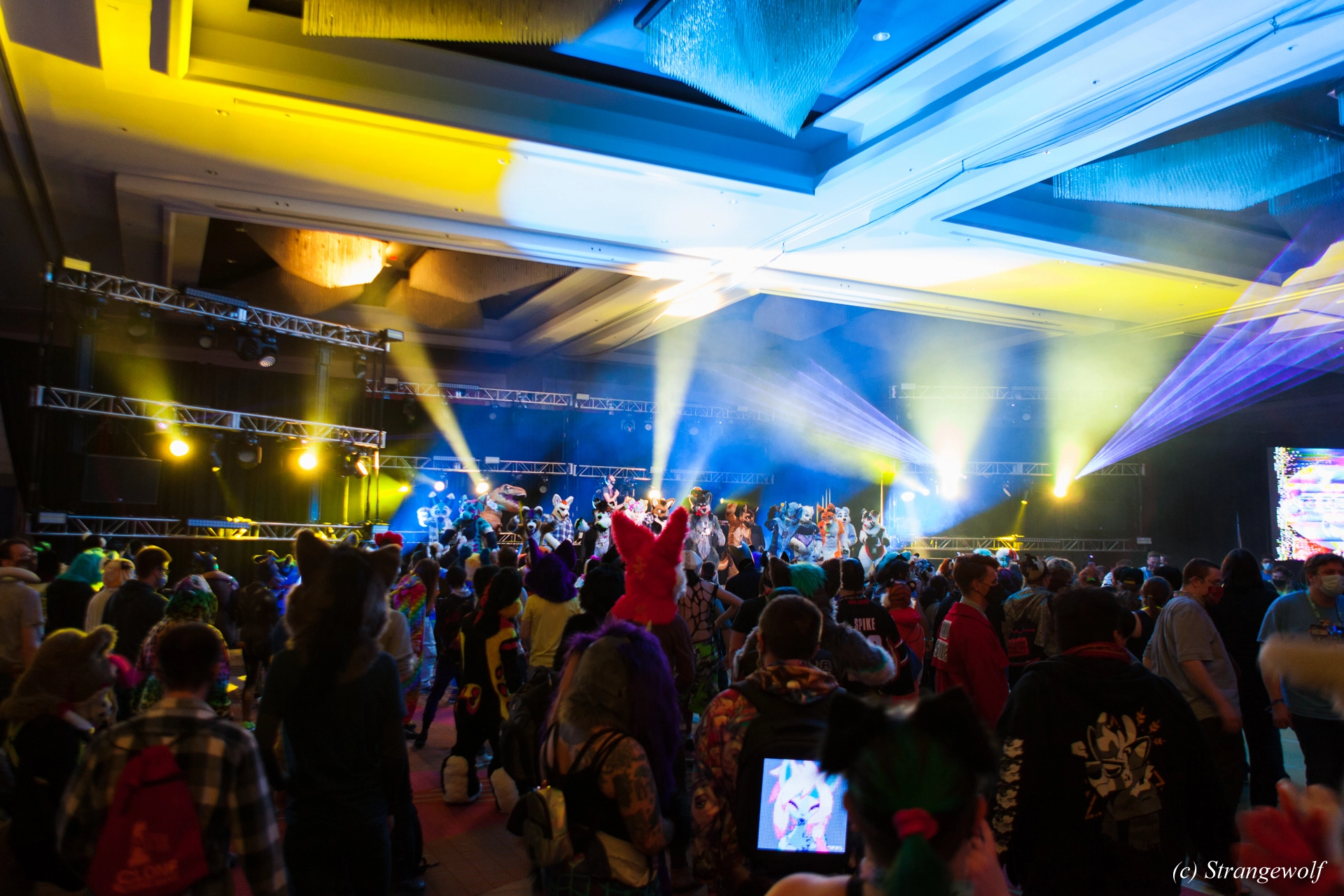 full image IMG_1214-lr19t.jpg