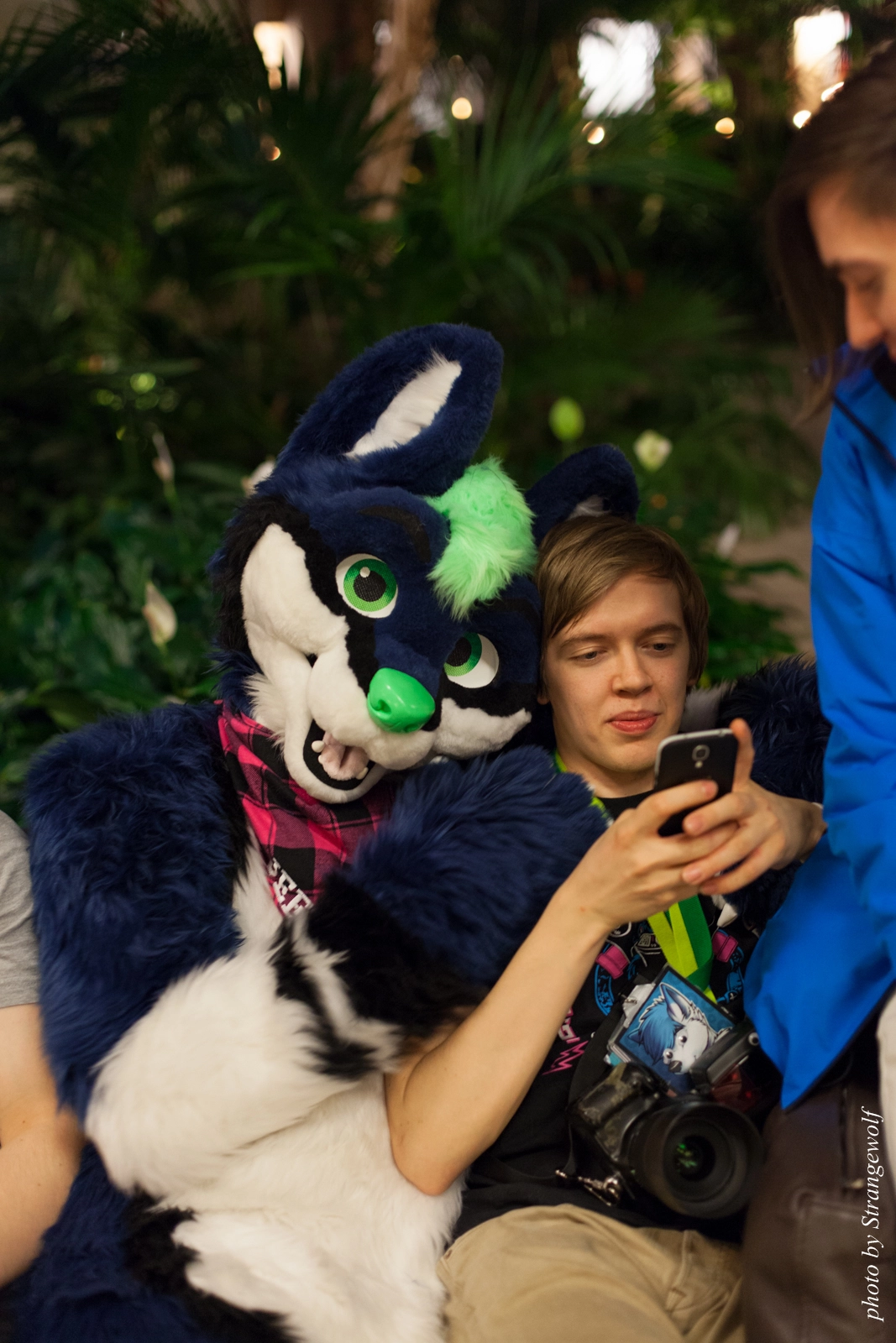 full image IMG_2434-lr16t.jpg