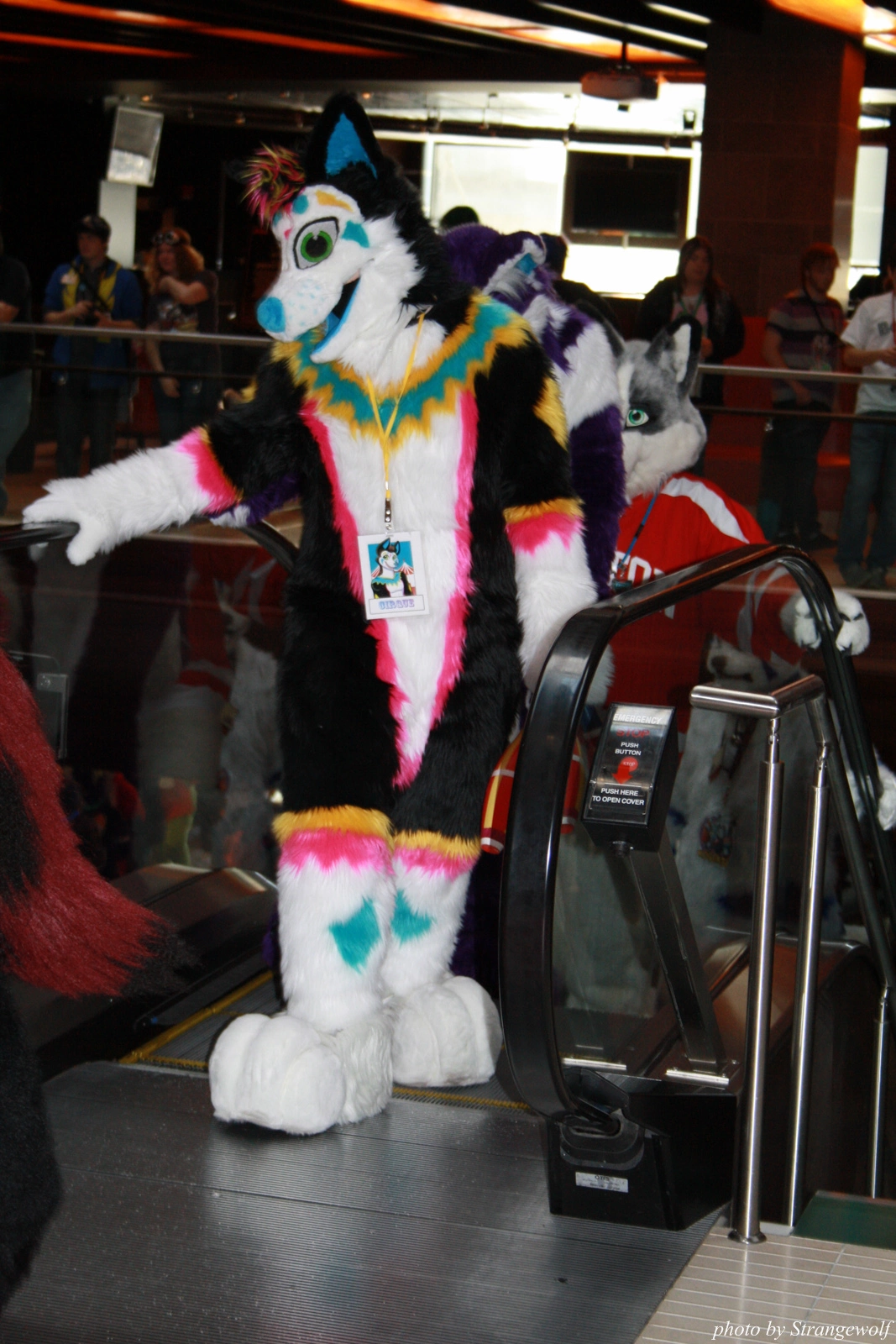 full image IMG_0600-lr.jpg