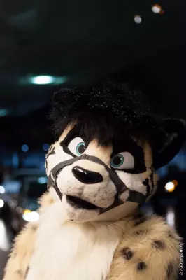 IMG_6844-lr19t.jpg of MFF/MFF2018/