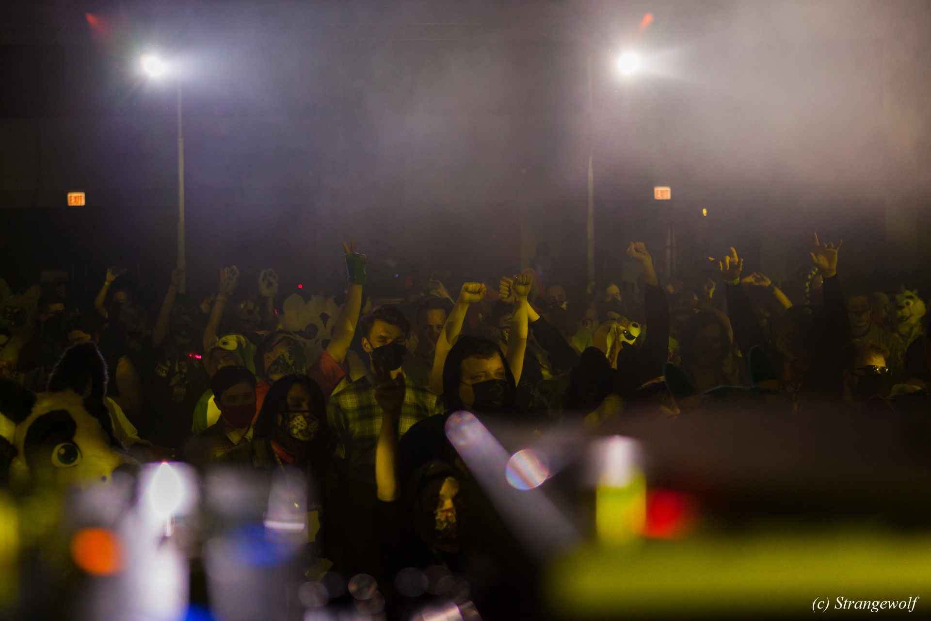 full image IMG_2609-lr19t.jpg