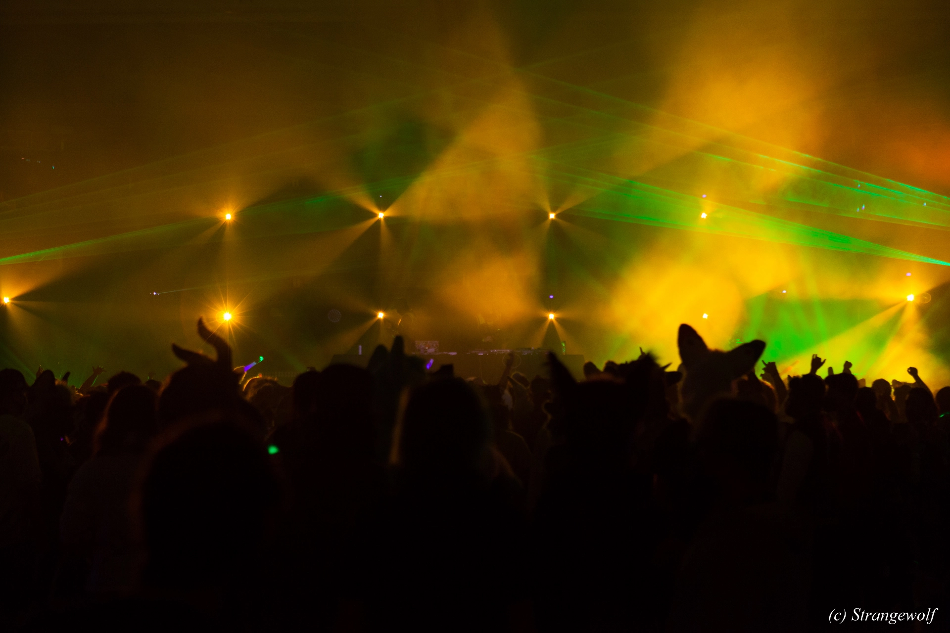 full image IMG_1722-lr19t.jpg