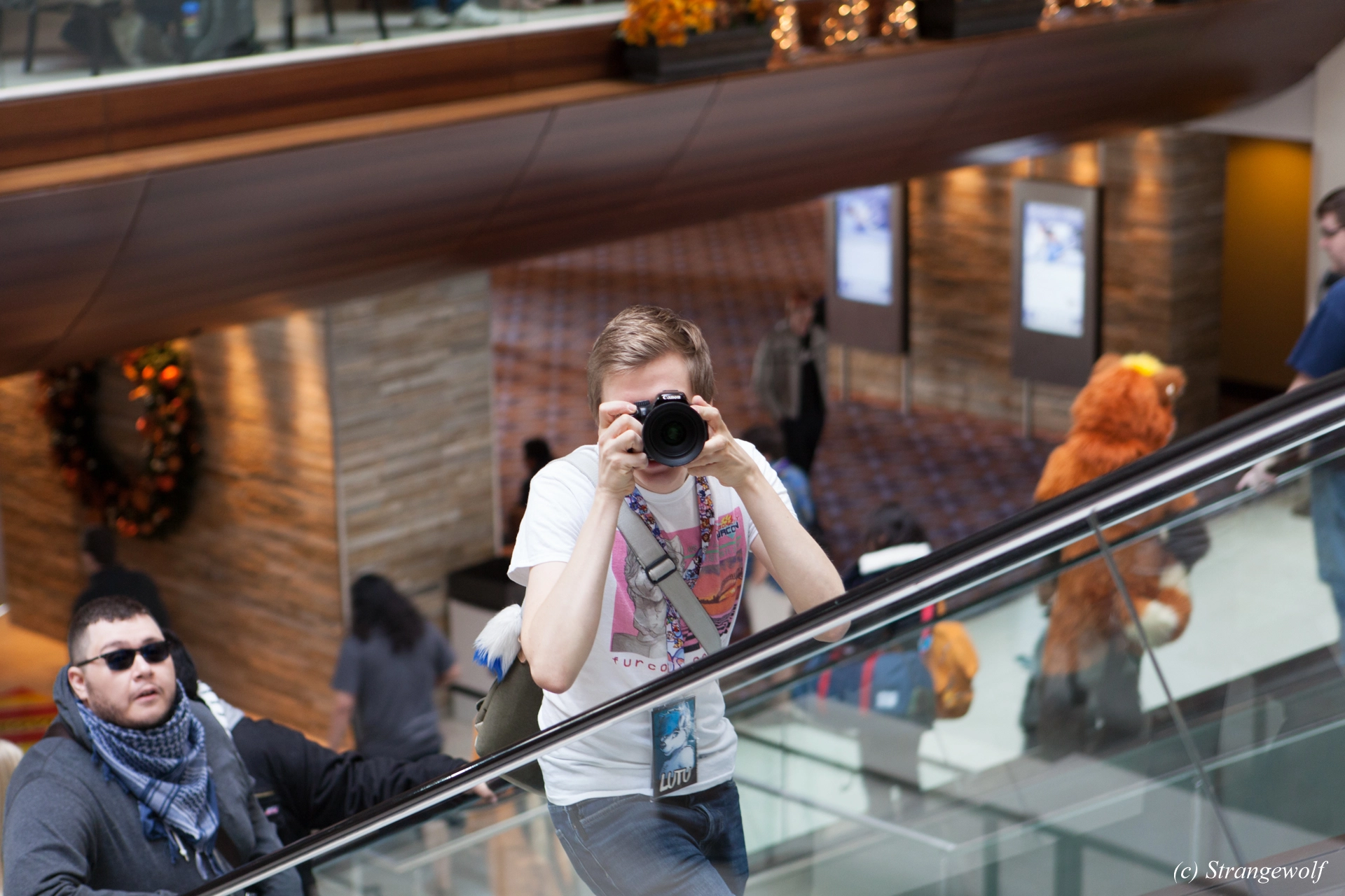 full image IMG_7054-lr19t.jpg