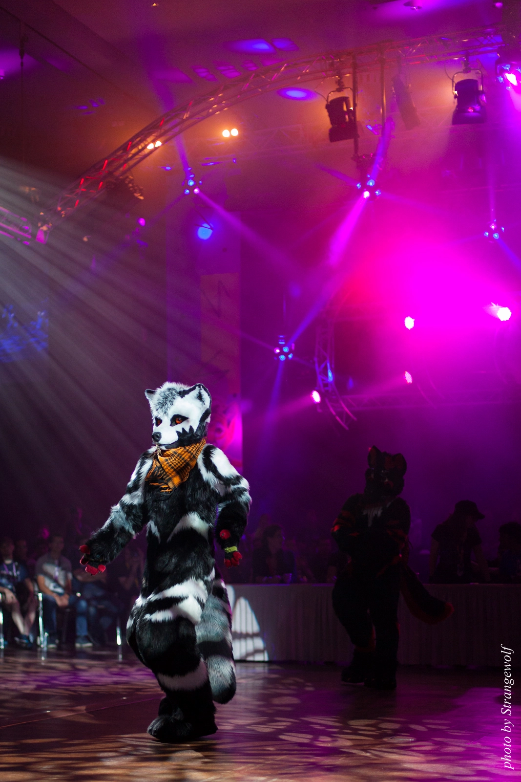 full image IMG_9863-lr16t.jpg
