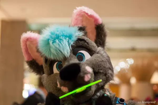 IMG_7343-lr19t.jpg of MFF/MFF2018/
