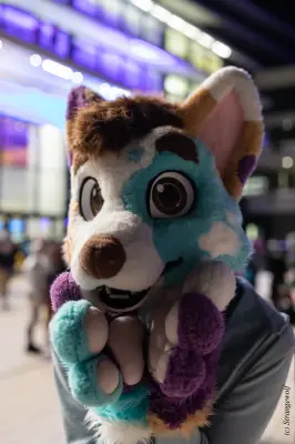 1R3A9448-lr19t.jpg of EF/EF29/