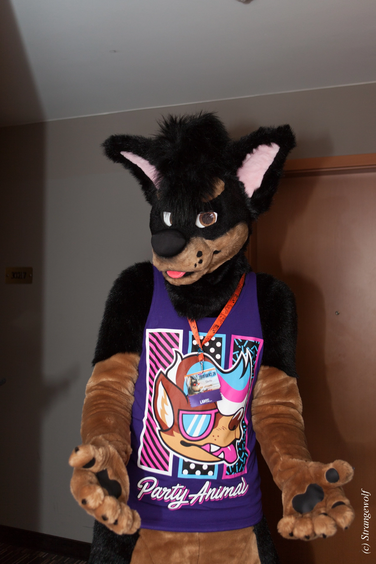 full image IMG_4777-lr19t.jpg