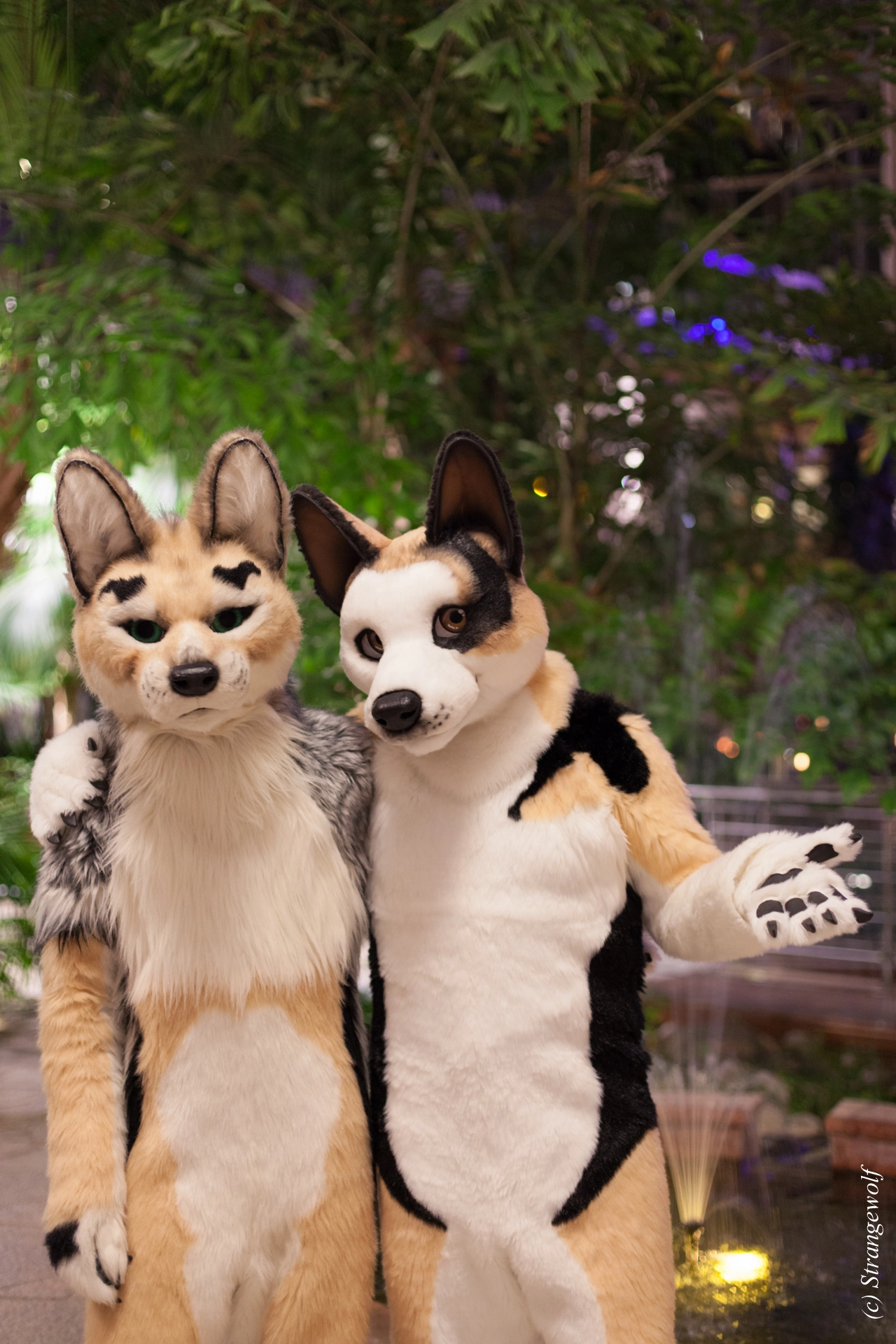 full image IMG_8956-lr19t.jpg