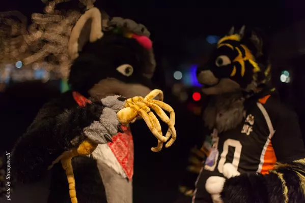 IMG_0801-lr16t.jpg of MFF/MFF2016/