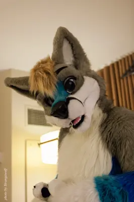 IMG_4195-lr16t.jpg of MFF/MFF2015/