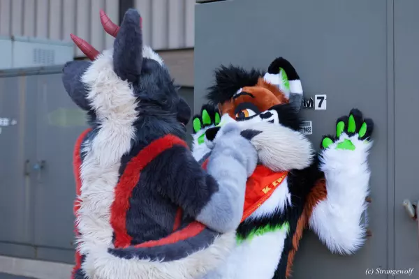 IMG_0979-lr.jpg of MFF/MFF2021/