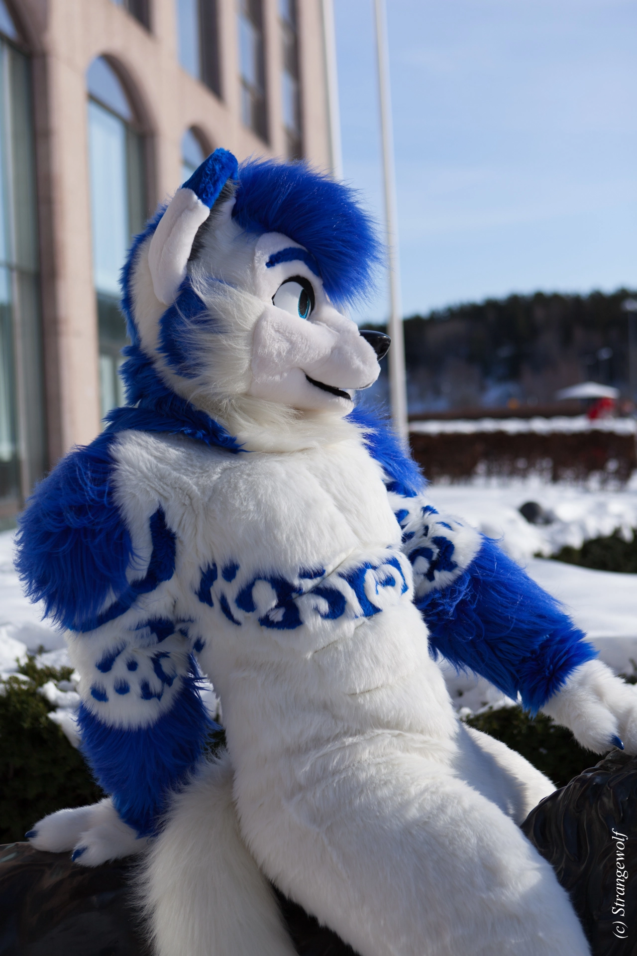 full image IMG_9744-lr19t.jpg