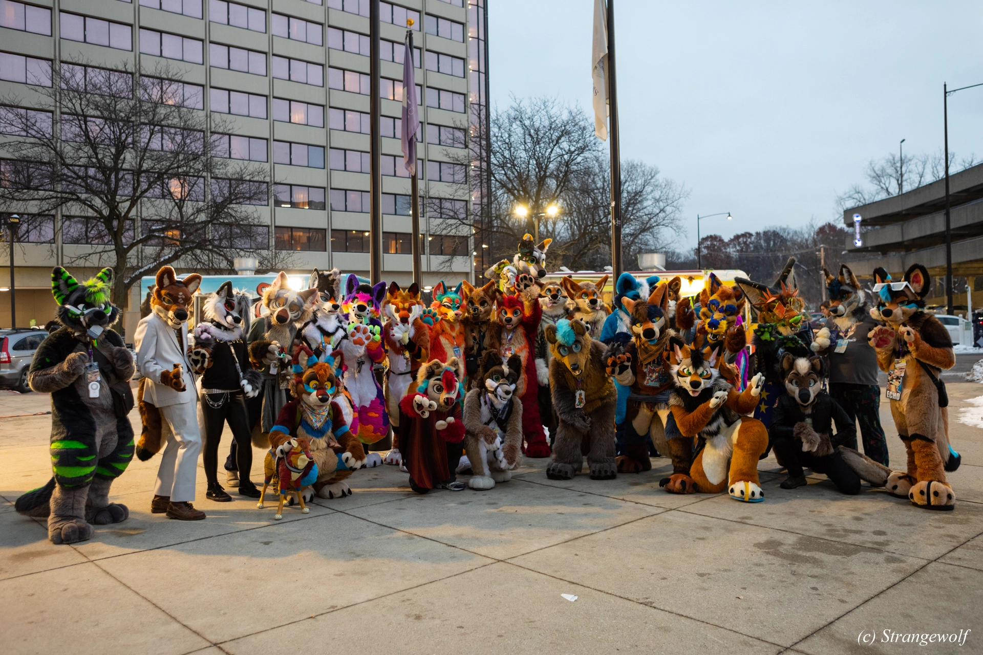 full image 1R3A0251-lr19t.jpg