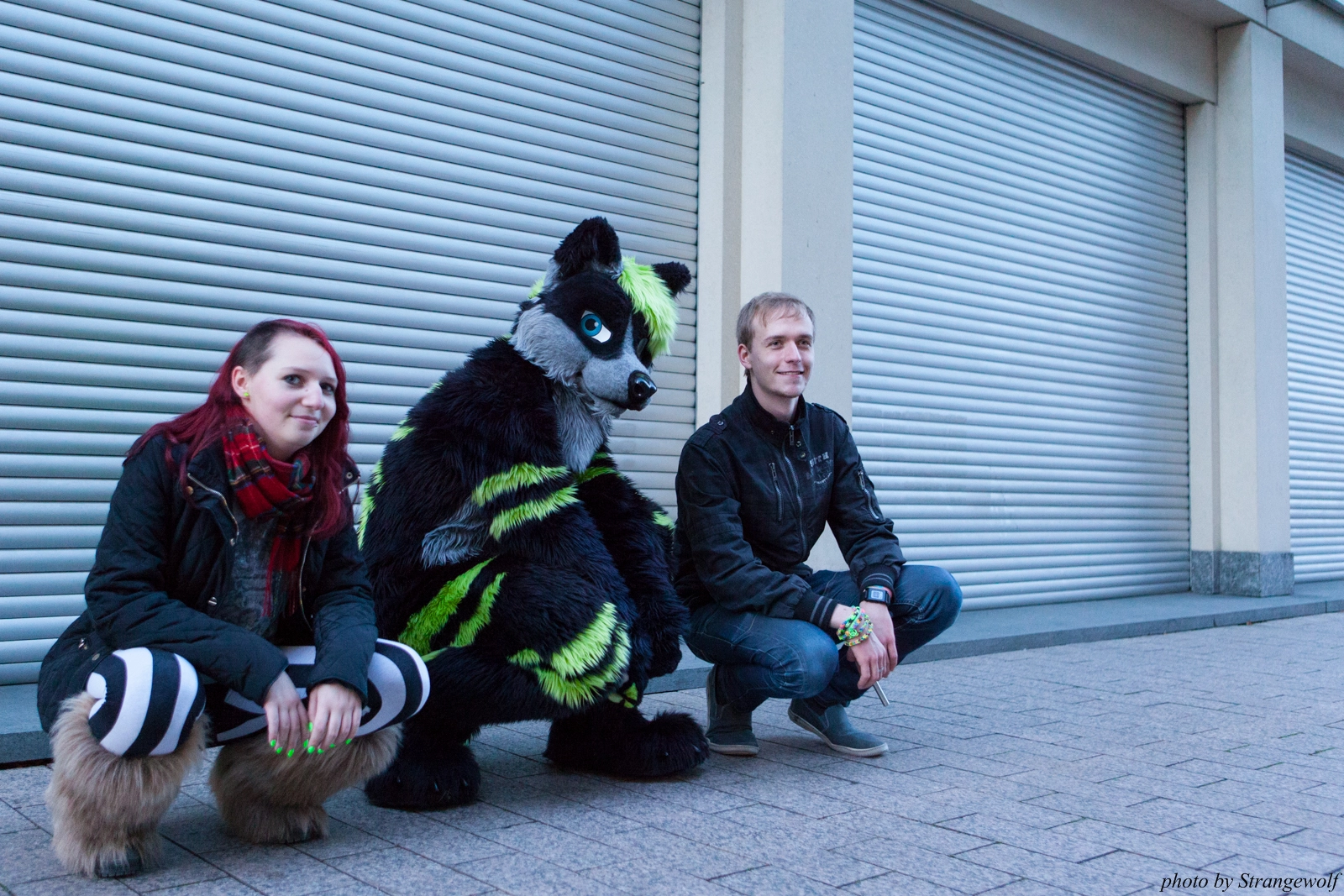 full image IMG_5423-lr16t.jpg