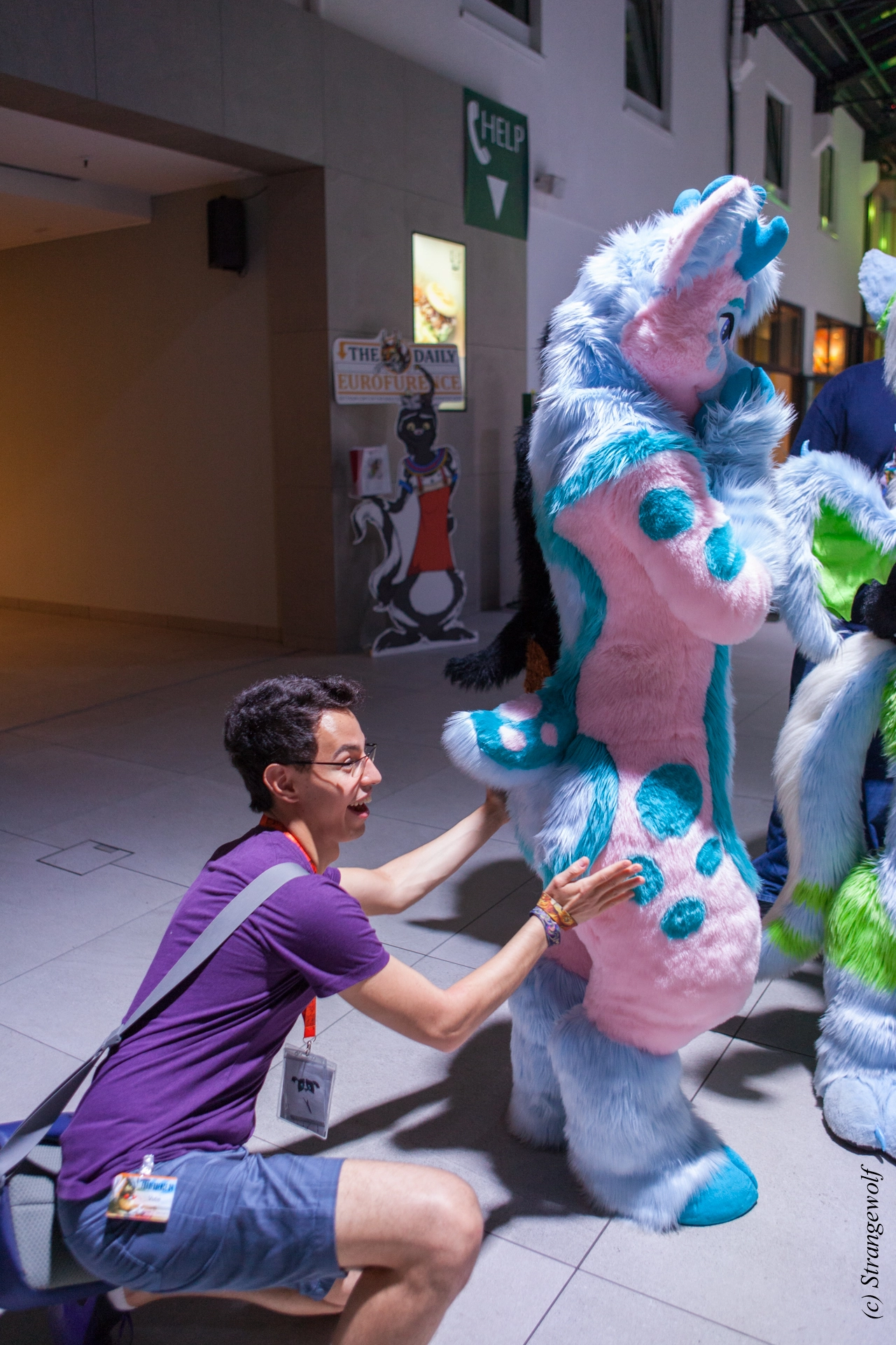 full image IMG_5006-lr19t.jpg