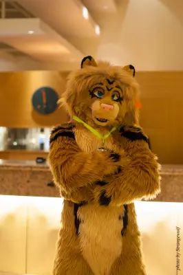 IMG_1491-lr16t.jpg of NFC/NFC2017/