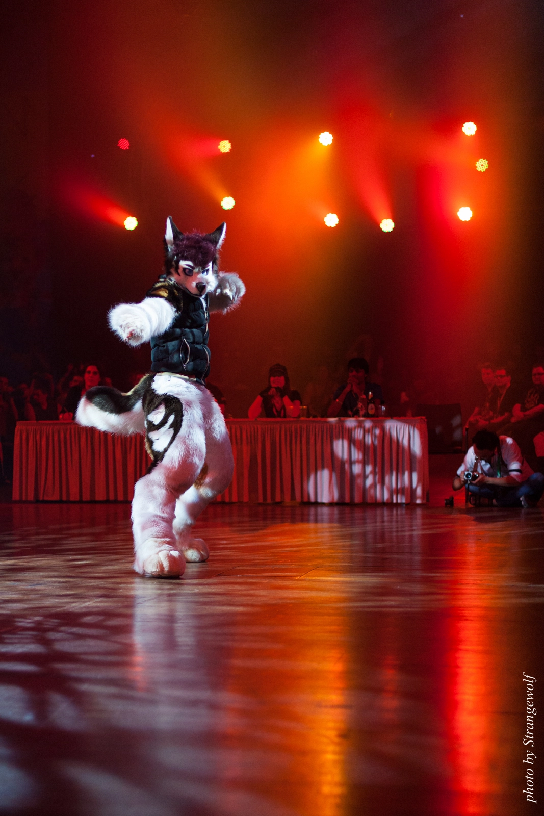 full image IMG_9490-lr16t.jpg