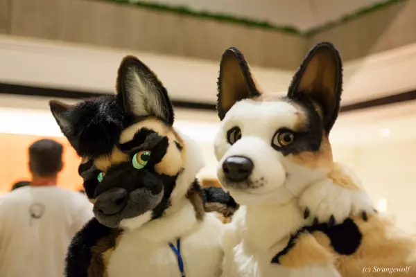 IMG_8019-lr19t.jpg of MFF/MFF2017/