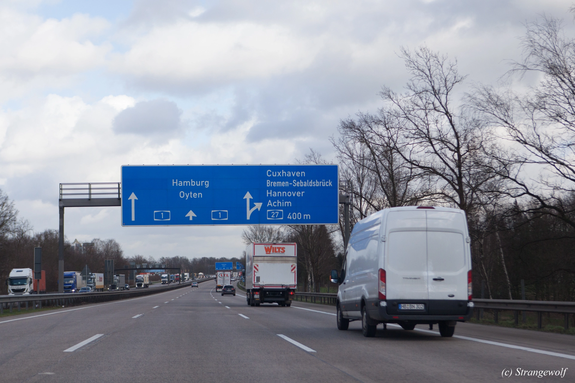 full image IMG_8190-lr19t.jpg