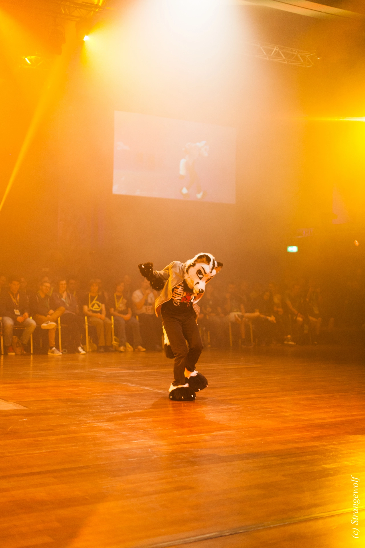 full image IMG_6567-lr19t.jpg