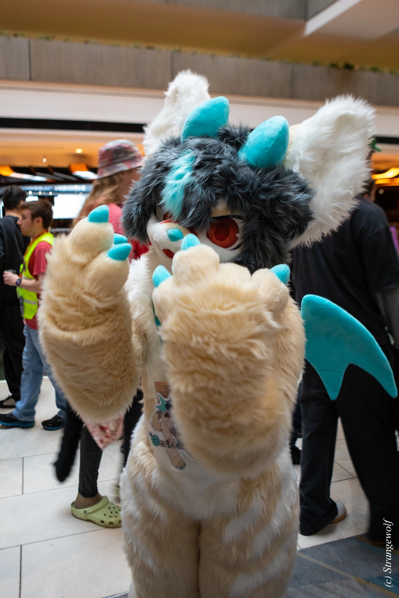 full image 1R3A0181-lr19t.jpg