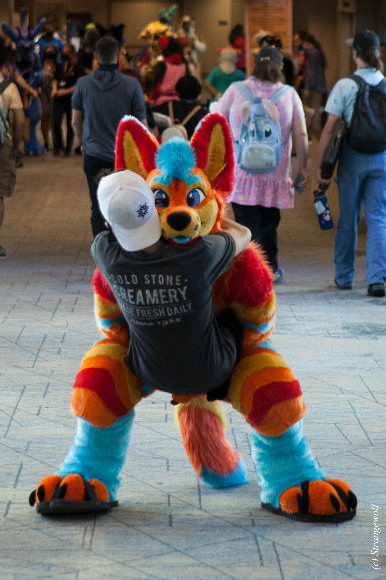 full image IMG_4505-lr19t.jpg