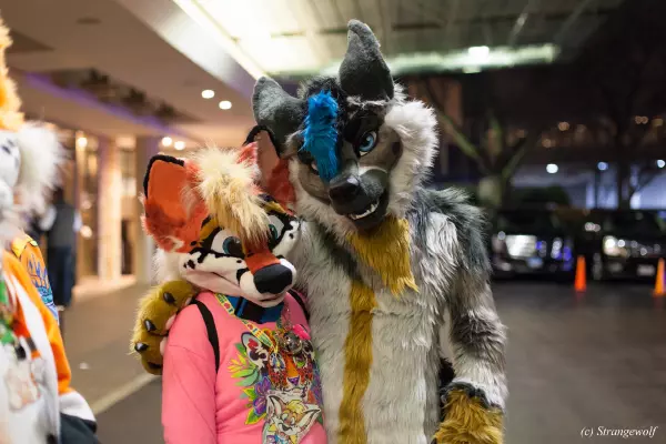 IMG_8082-lr19t.jpg of MFF/MFF2019/