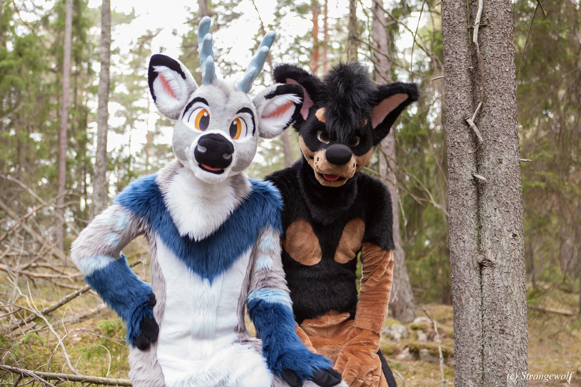 full image IMG_8549-lr19t.jpg