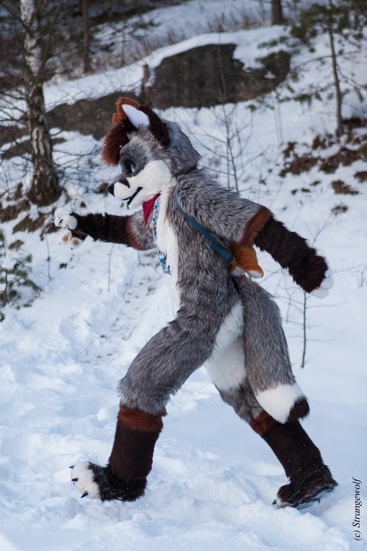 full image IMG_0617-lr19t.jpg