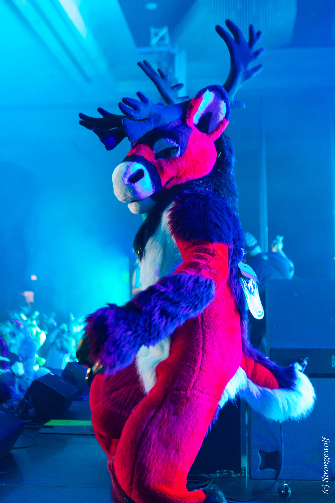 full image 1R3A5121-lr19t.jpg