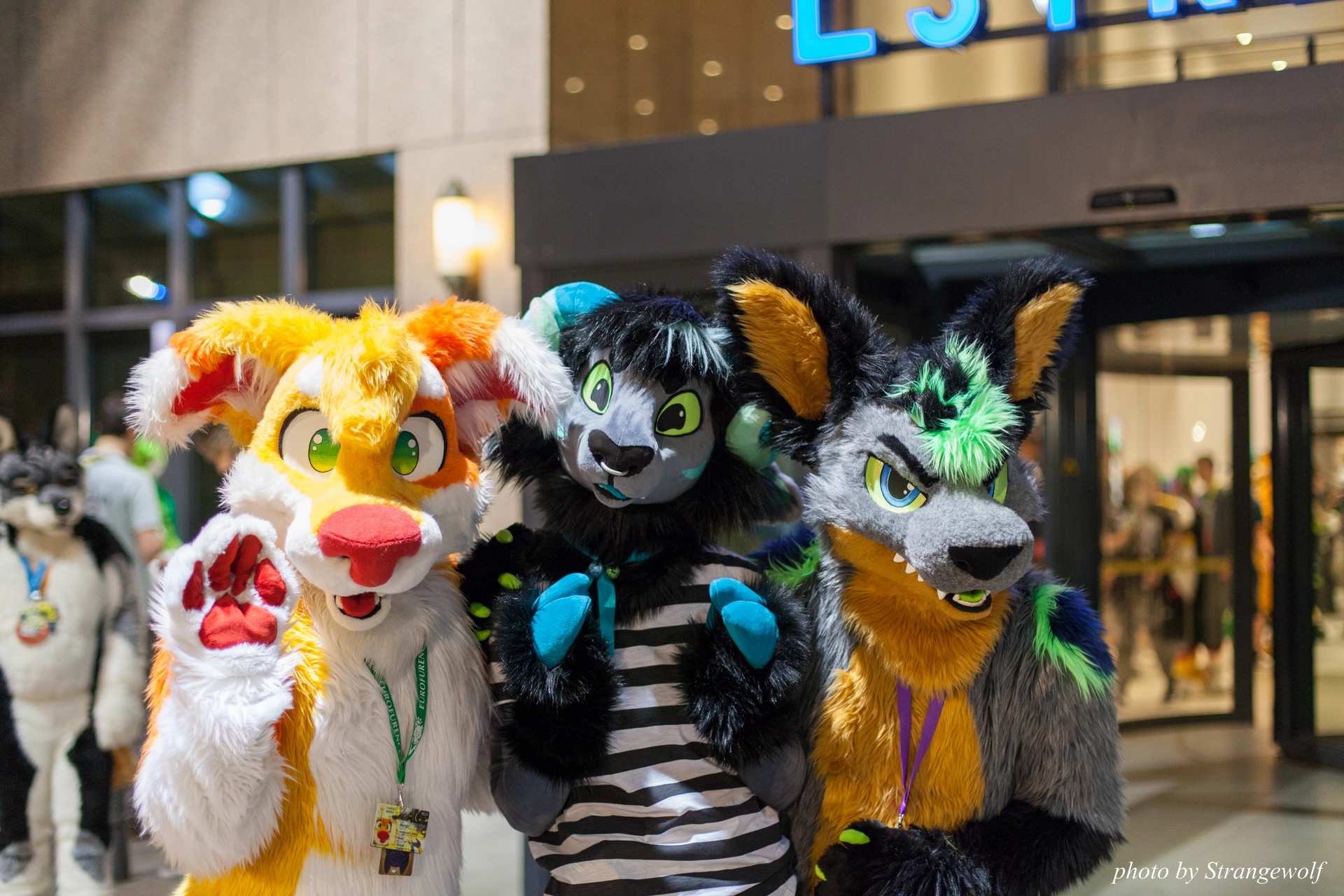 full image IMG_6323-lr19t.jpg