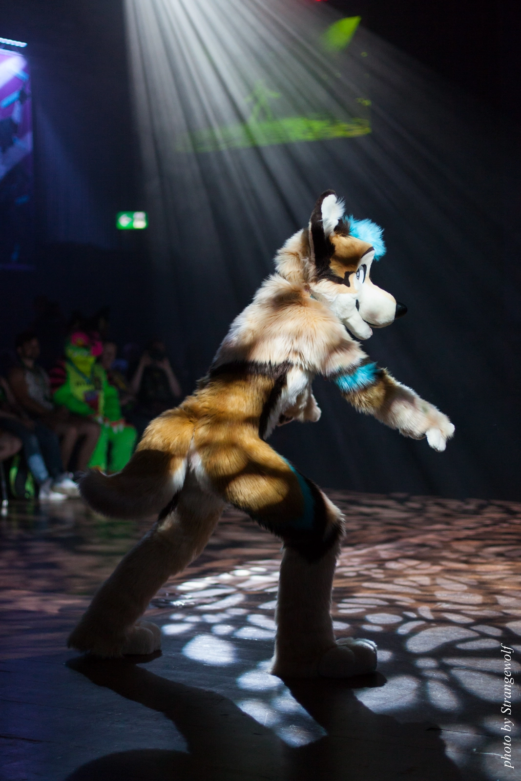 full image IMG_9601-lr16t.jpg