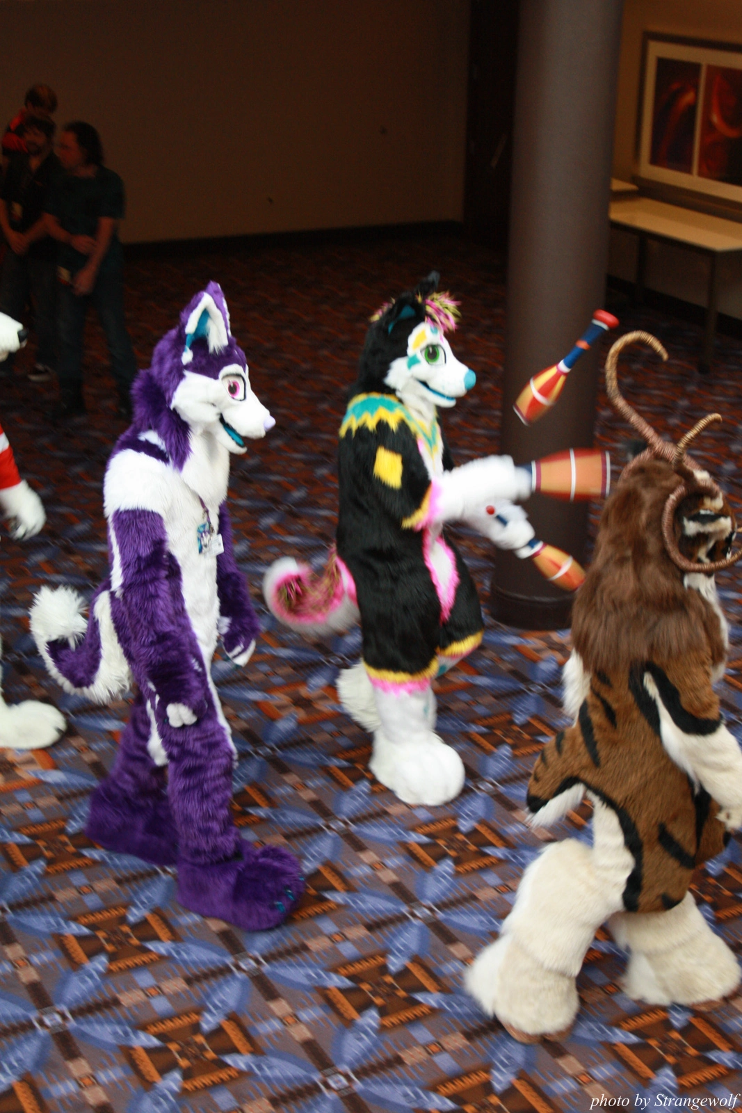 full image IMG_0619-lr.jpg