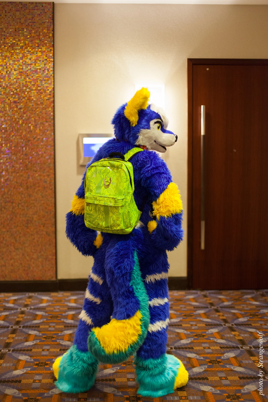full image IMG_0875-lr16t.jpg