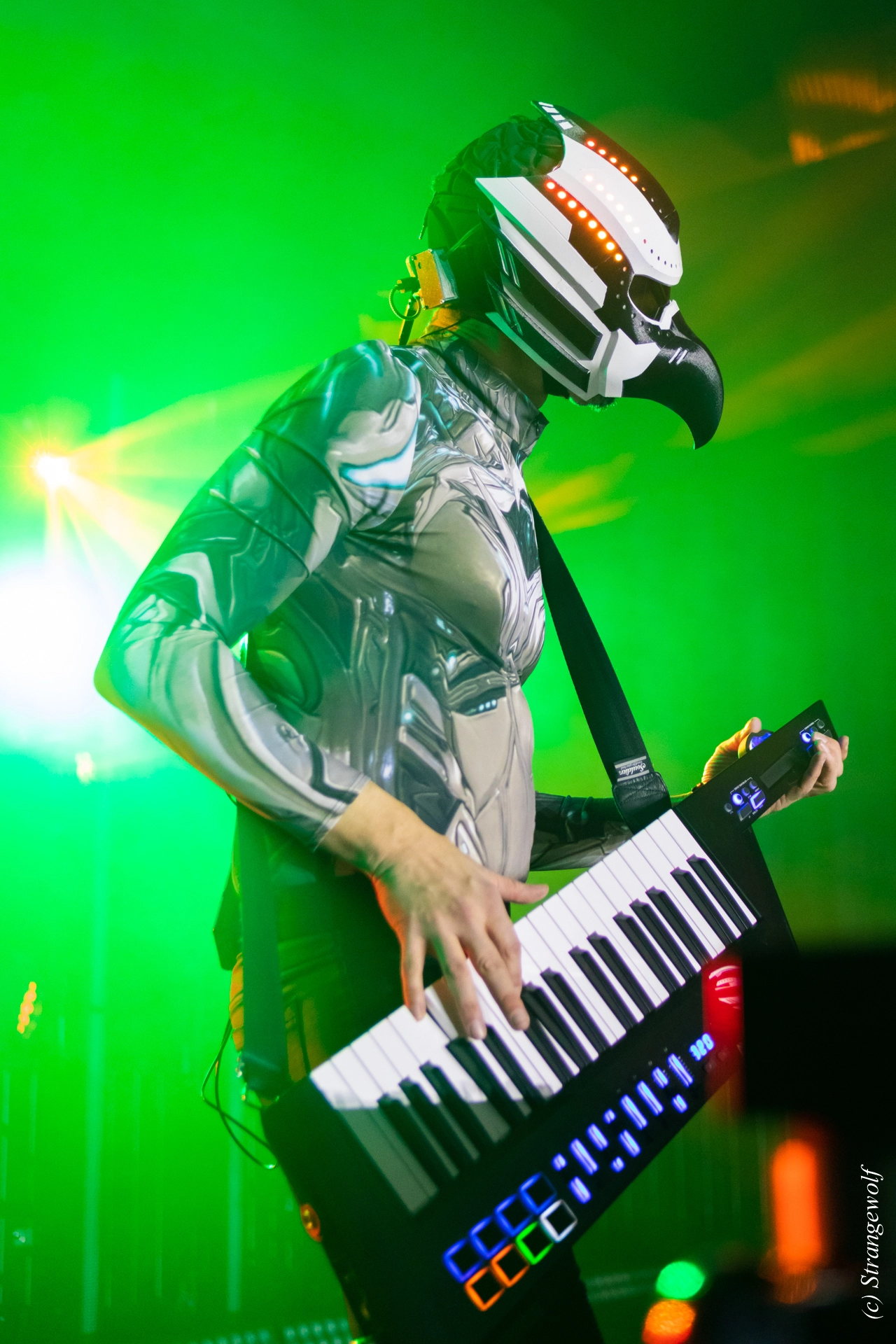 full image 1R3A4788-lr19t.jpg