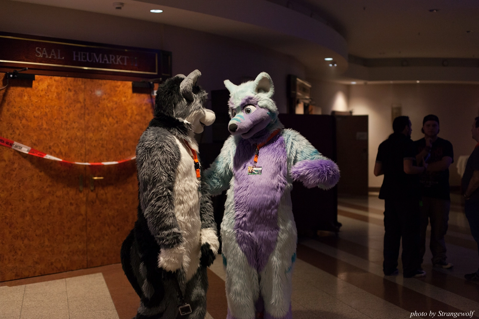 full image IMG_1305-lr16t.jpg