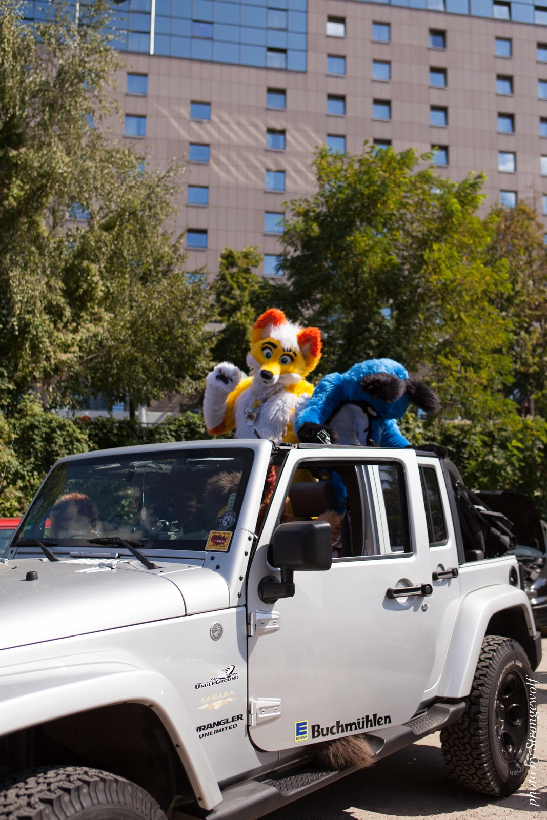 full image IMG_2236-lr16t.jpg