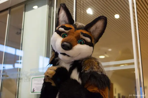 IMG_9282-lr19t.jpg of NFC/NFC2019/