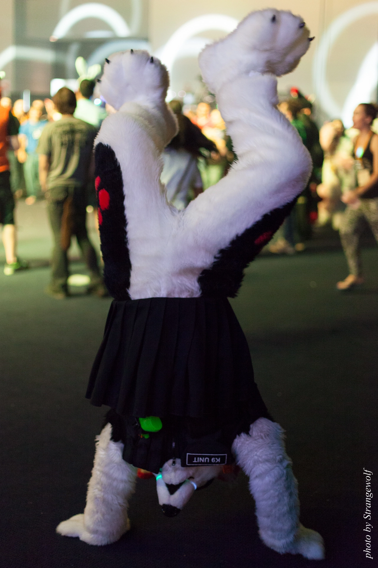 full image IMG_0617-lr19t.jpg
