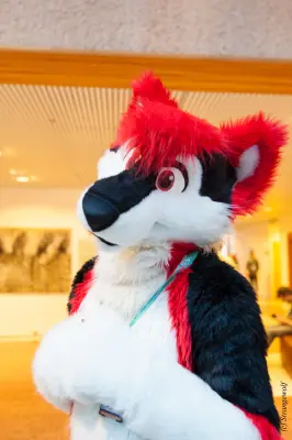 IMG_8862-lr19t.jpg of NFC/NFC2019/