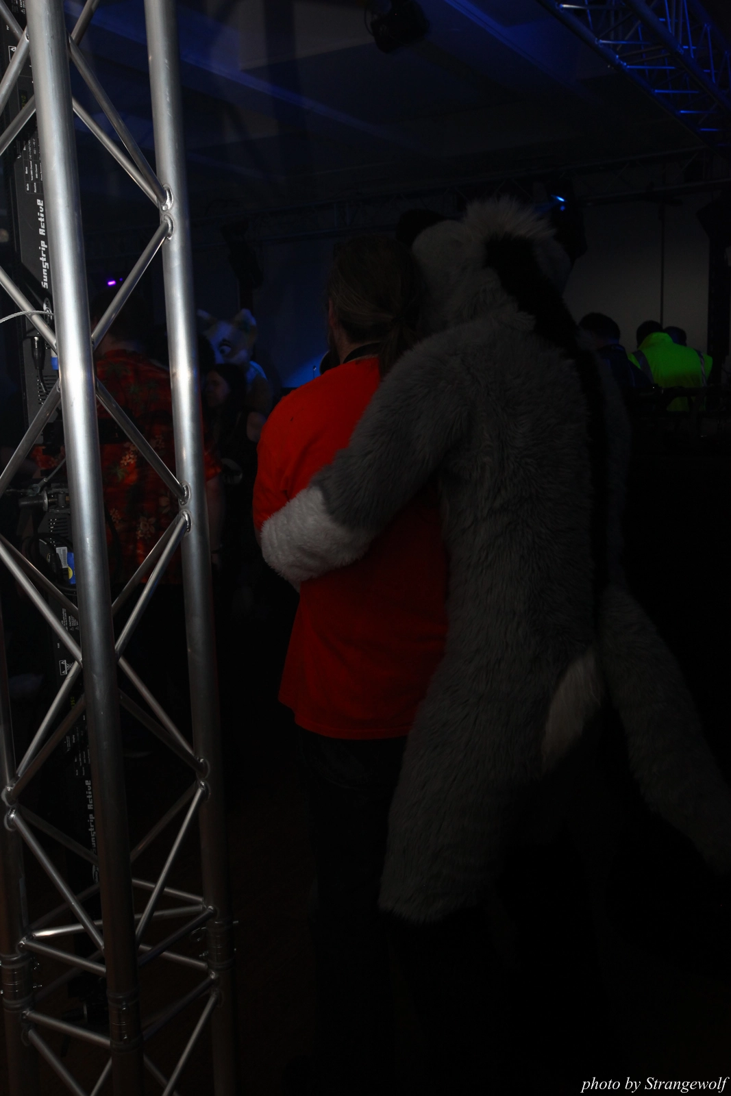 full image IMG_7510-lr16t.jpg