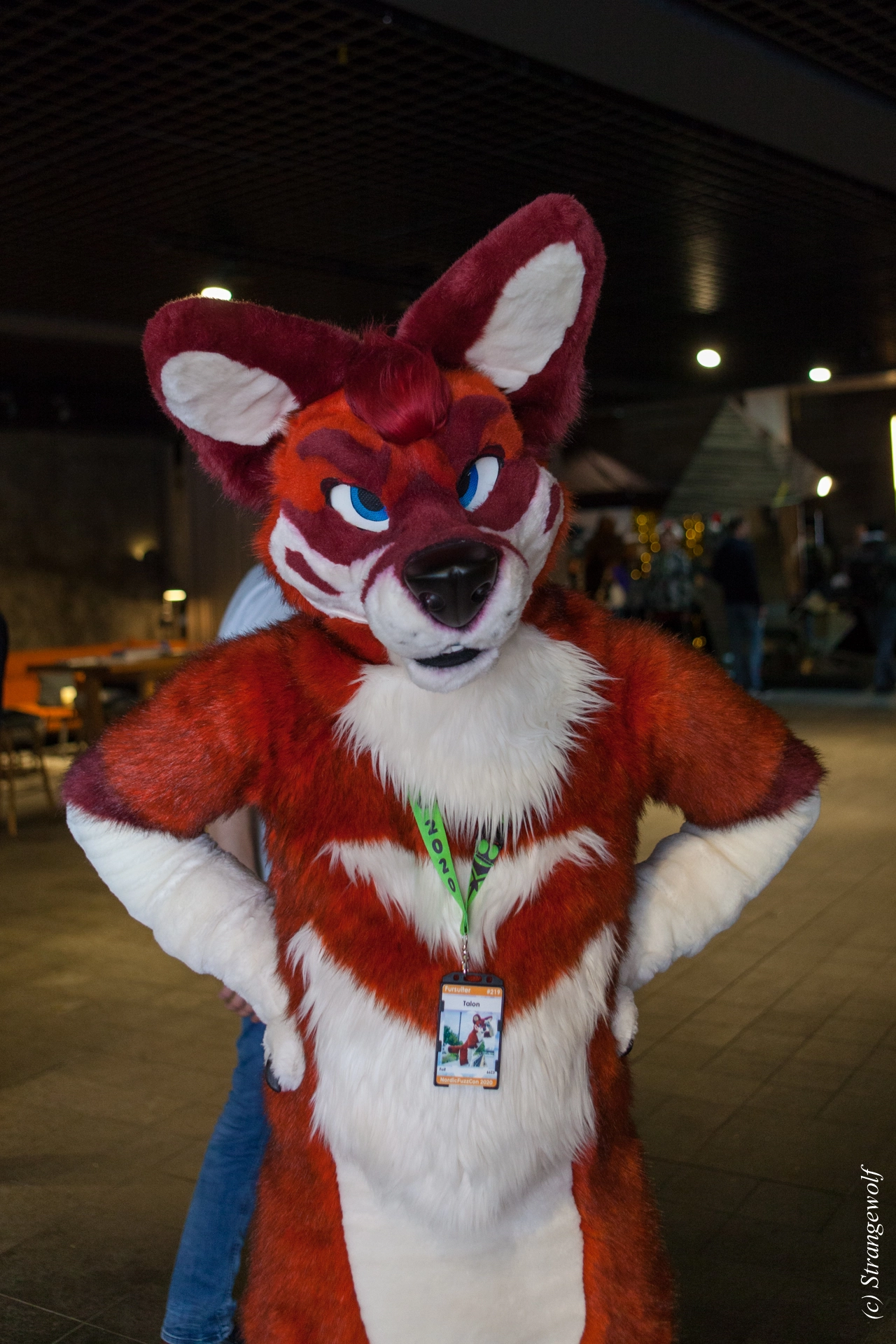 full image IMG_8956-lr19t.jpg