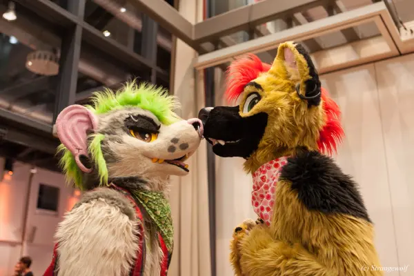 IMG_5110-lr19t.jpg of EF/EF24/