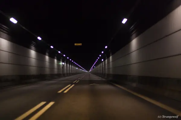 IMG_8486-lr19t.jpg of NFC/NFC2019/