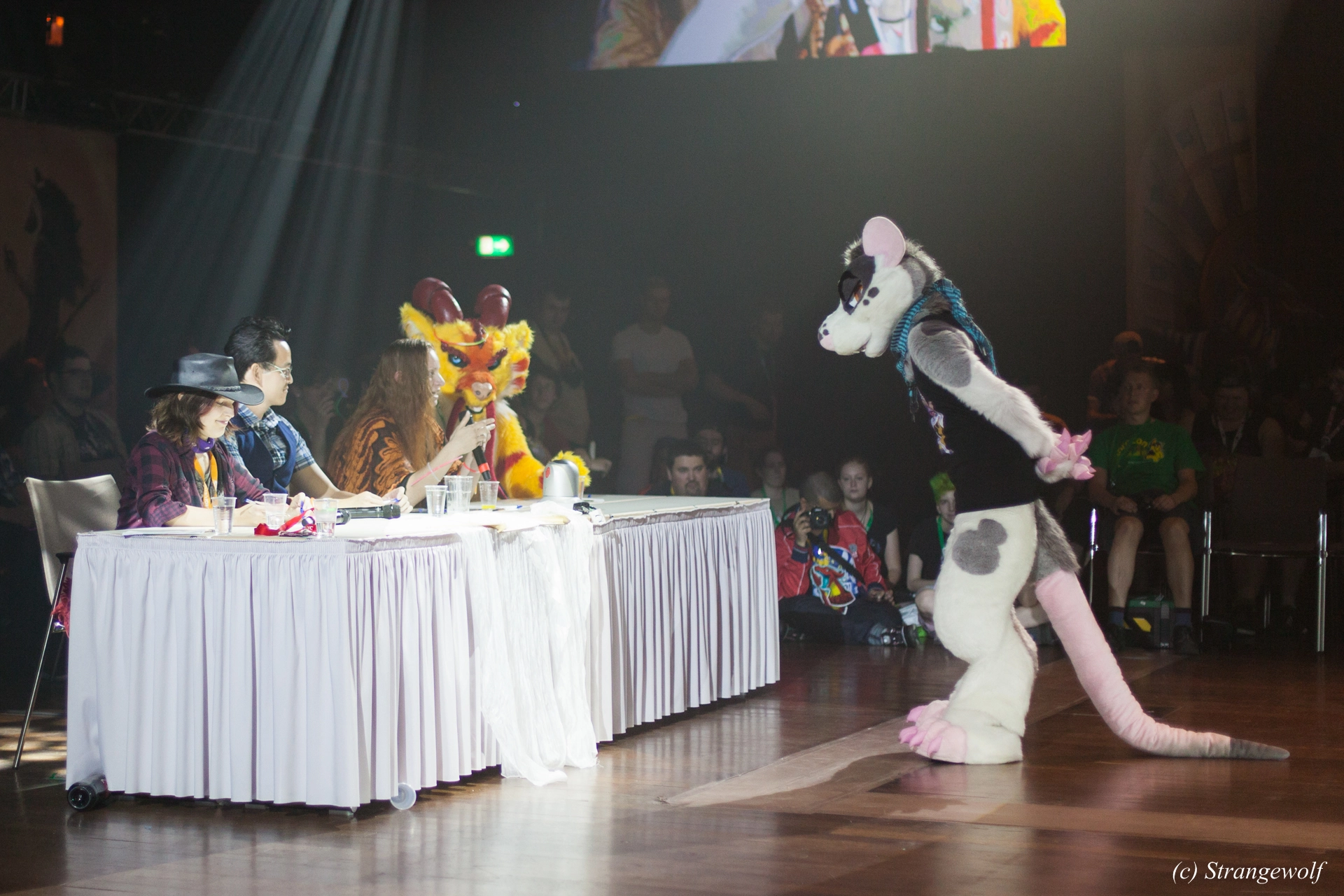 full image IMG_6383-lr19t.jpg