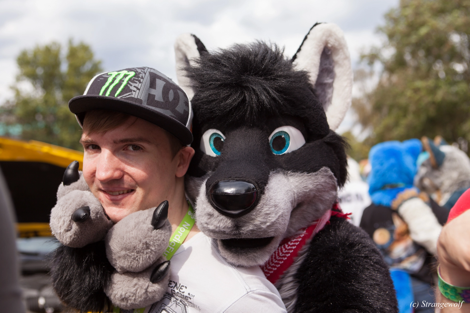 full image IMG_5249-lr19t.jpg