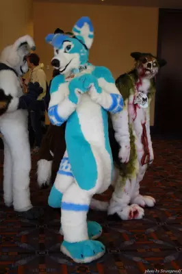 IMG_0593-lr.jpg of MFF/MFF2013/