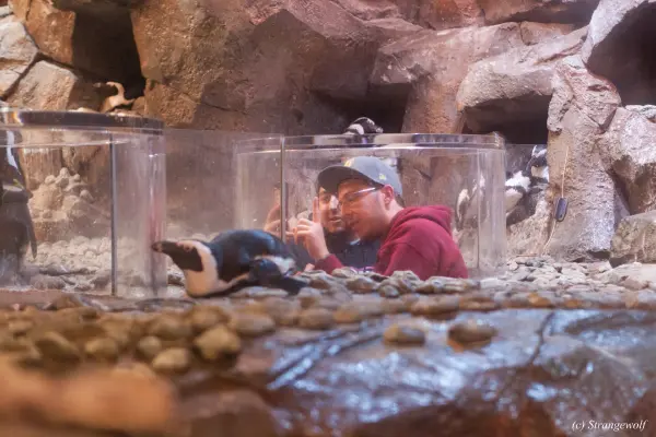 IMG_2201-lr19t.jpg of FWA/FWA2018/