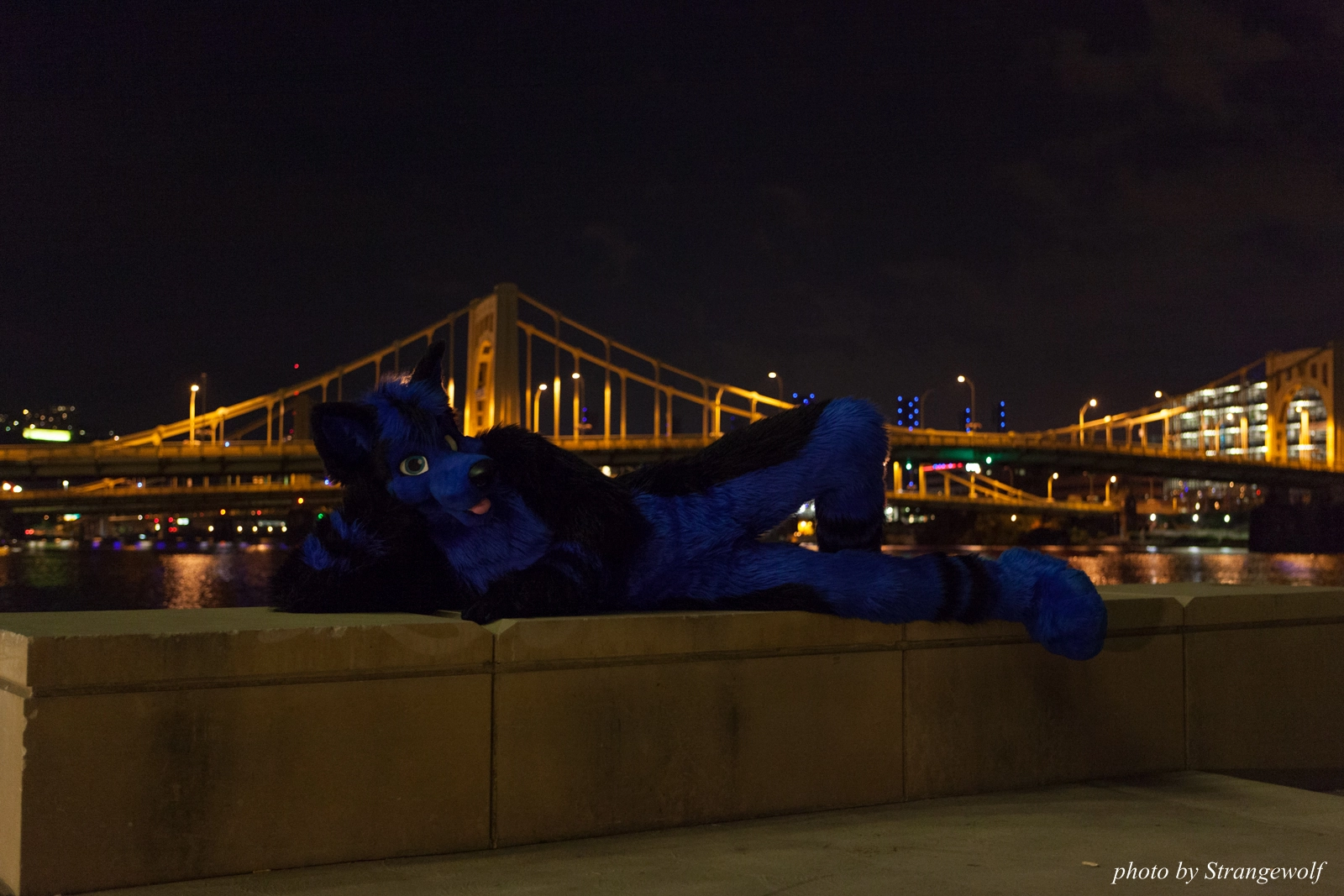 full image IMG_8535-lr16t.jpg